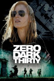 Zero Dark Thirty (2012) Hindi & English Dual Audio BluRay WEB-DL – 480P | 720P | 1080P | 4K – Download & Watch Online